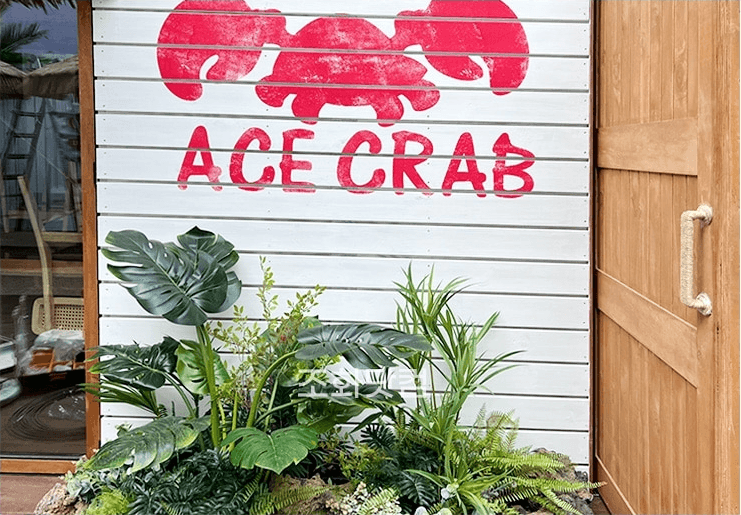 서울 에이스크랩 강남점 — ACE CRAB 사인 앞 좁은 자리의 식물 화단