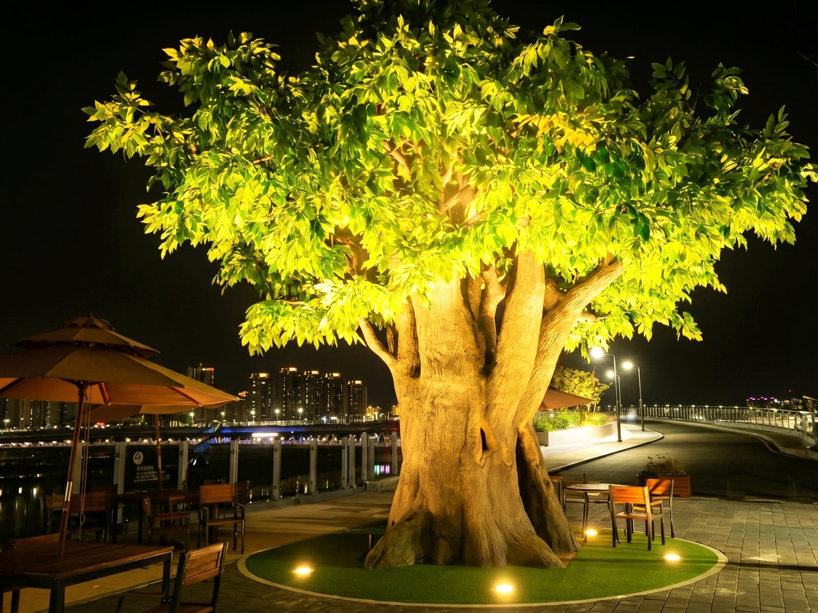 세종 금강보행교 — 밤 조명에 결의 그림자가 깊어진 고목