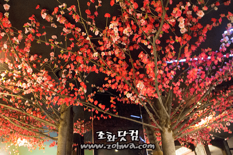 안양 LJ BAR — 천장을 덮은 매화 꽃가지