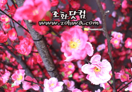 안양 LJ BAR — 가지마다 촘촘히 결합한 인조 꽃송이