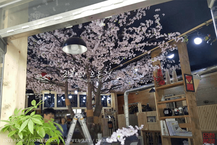 동해 아라카페 — 벚꽃 아래 우드톤 좌석