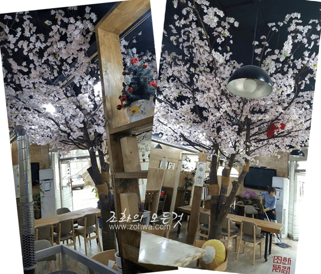 동해 아라카페 — 벚꽃나무 밑동과 좌석