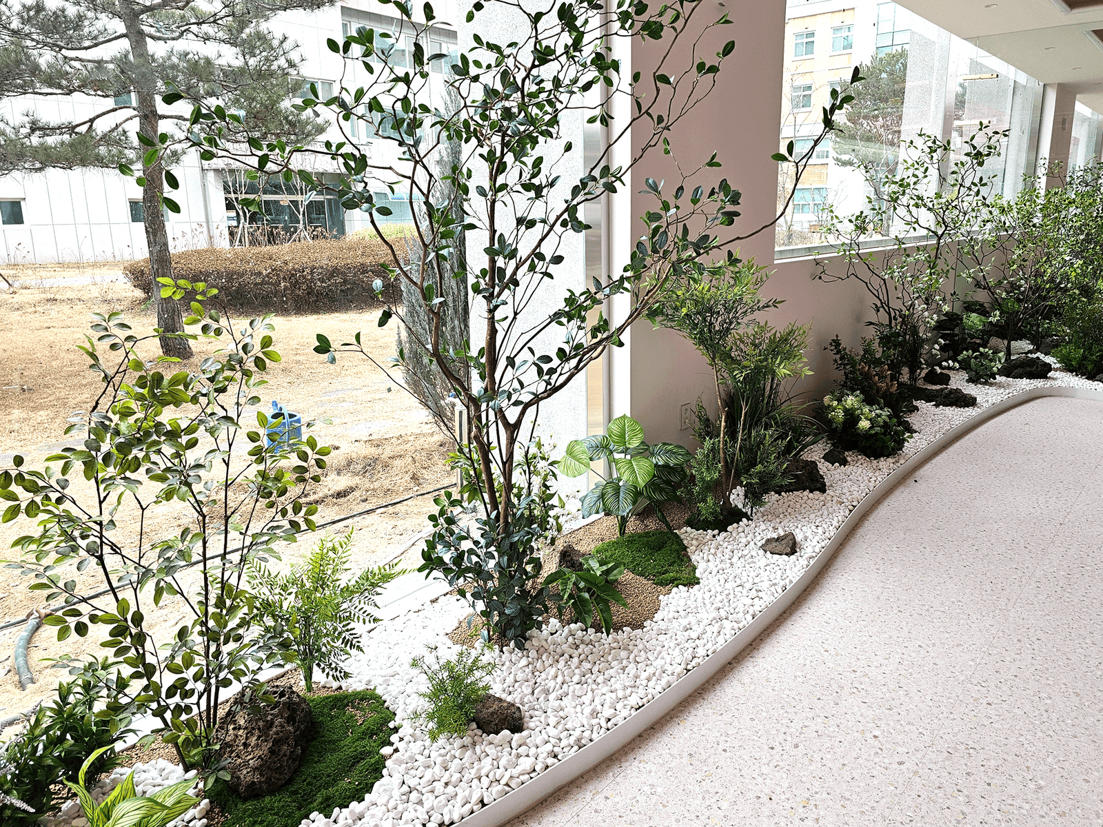 충북 옥천 충북도립대학교 창가 인조나무 — 진짜 자연석과 흰 자갈, 이끼를 밑동에 깔아 실제 정원처럼 연출한 모습