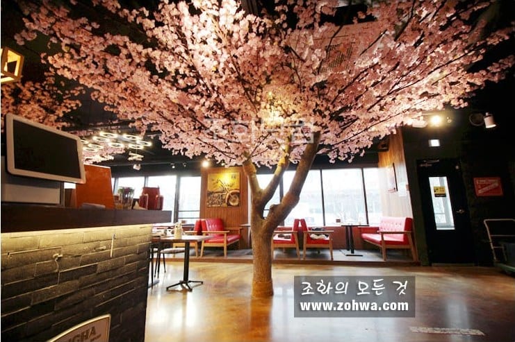 하남 비어스타 맥주집 — 매장을 대표하는 벚꽃 장면