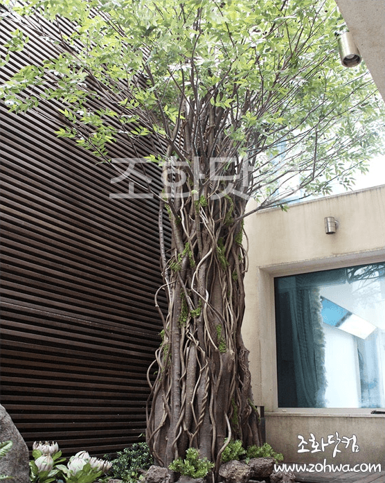 용인 비스하임 타운하우스 — 약을 치지 않는 안뜰 정원
