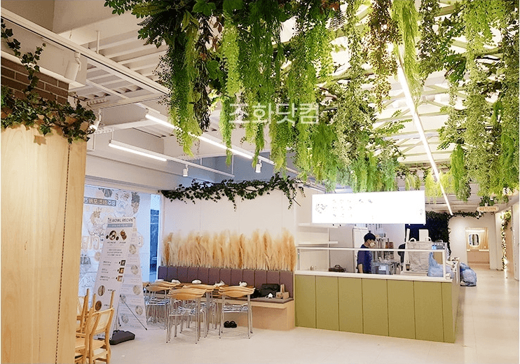 광주 보울레시피 충장점 — 천장을 따라 이어지는 인조 행잉넝쿨