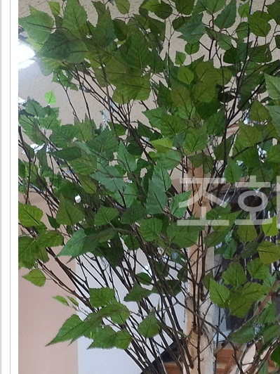 부천 테크노파크 다본다 — 수제작으로 붙인 자작 잎