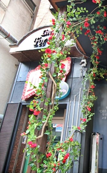 분당 꿀돼지식당 — 문틀을 감은 장미아치 연출