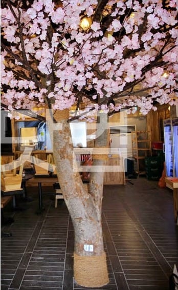 부산 만만코코로 해운대점 — 나무 결을 살린 굵은 기둥
