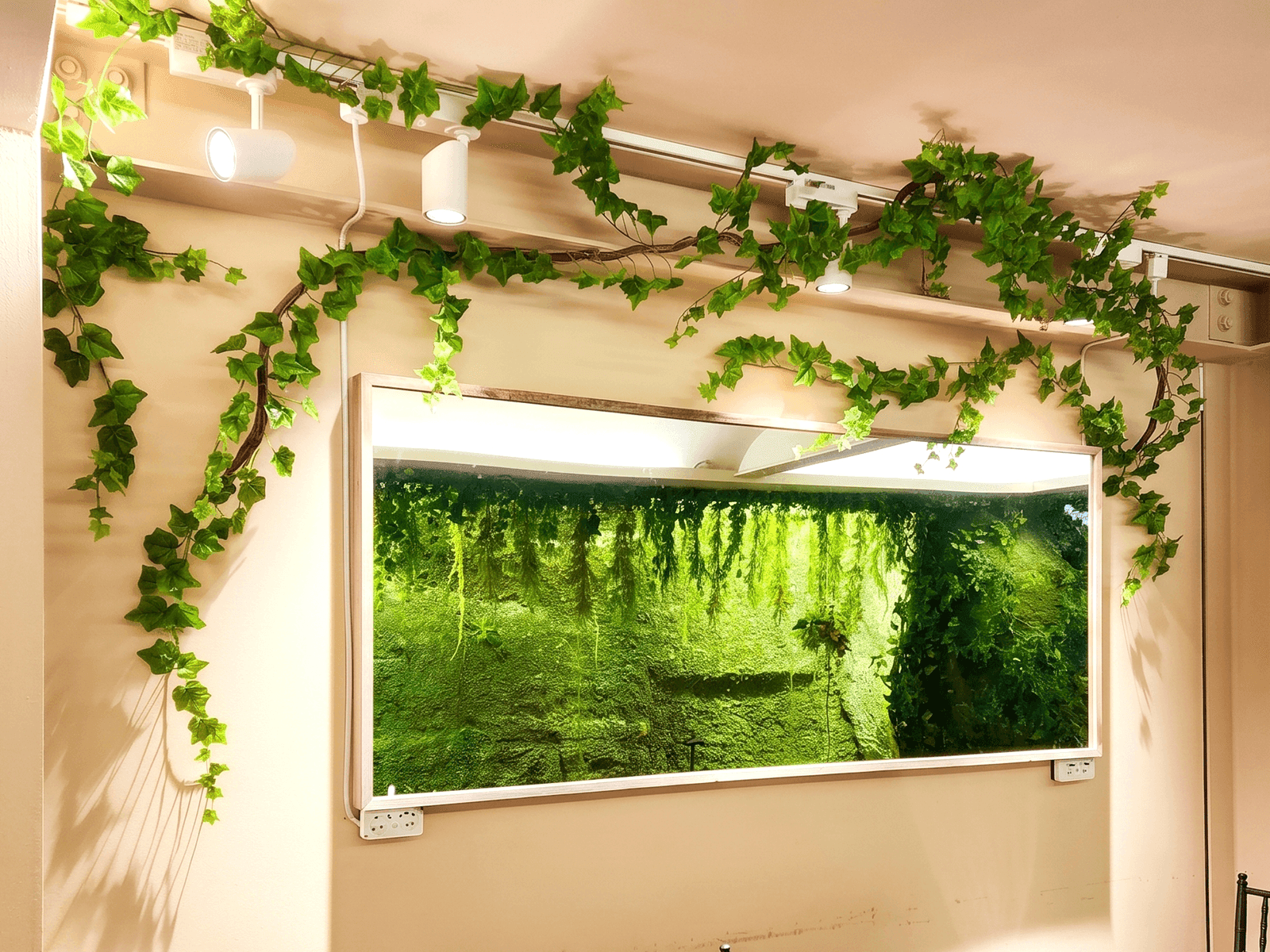 서울 산1-1 카페 — 벽면 액자형 그린 패널 주위로 아이비 넝쿨이 자연스럽게 뻗어 나간 모습