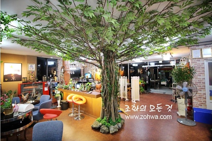원주 카페두아 — 큰 나무 아래 좌석