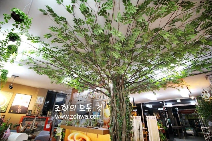 원주 카페두아 — 나무 아래 빈티지 카페 전경