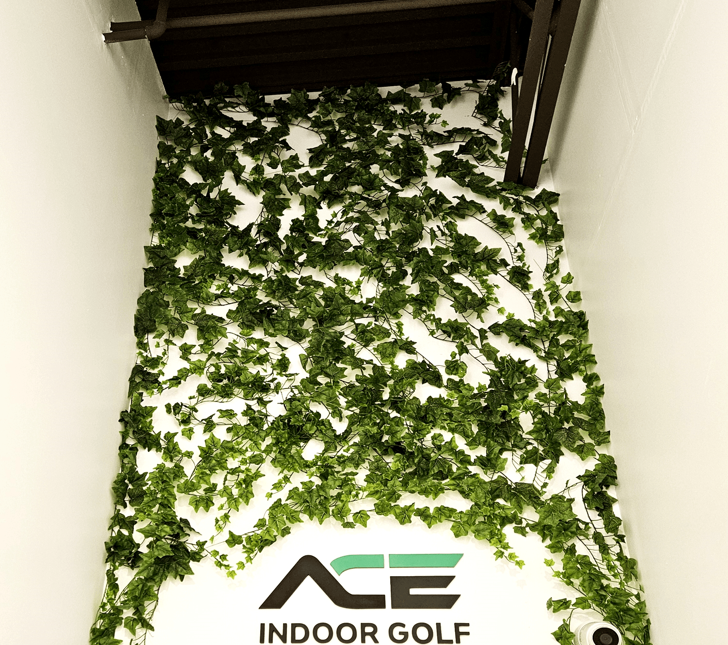ACE INDOOR GOLF 로고 벽을 감싼 인조 아이비 넝쿨