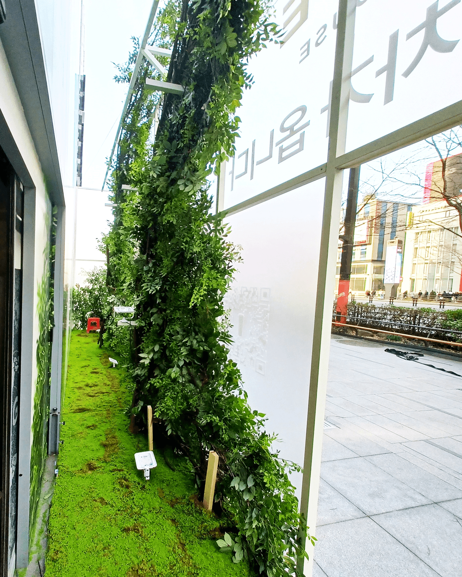 강남 CHAGEE — 메탈 프레임 가벽 구조와 인조나무