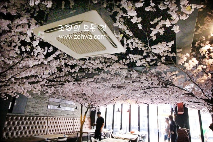창원 몽상가 — 계절과 관계없이 만개한 벚꽃 천장
