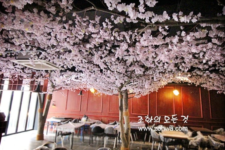 창원 몽상가 — 젊은 손님이 사진 찍는 벚꽃 자리