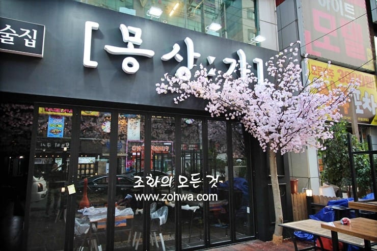 창원 몽상가 — 벚꽃으로 눈길을 끄는 매장 입구
