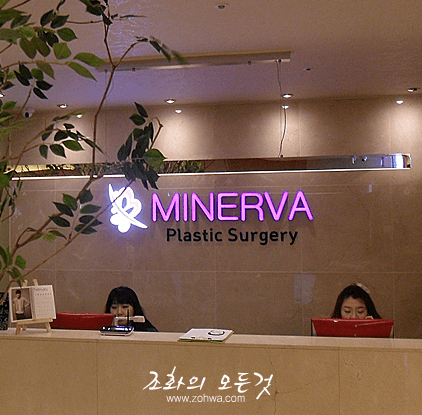 청담동 미네르바성형외과 리셉션 사인과 초록 가지