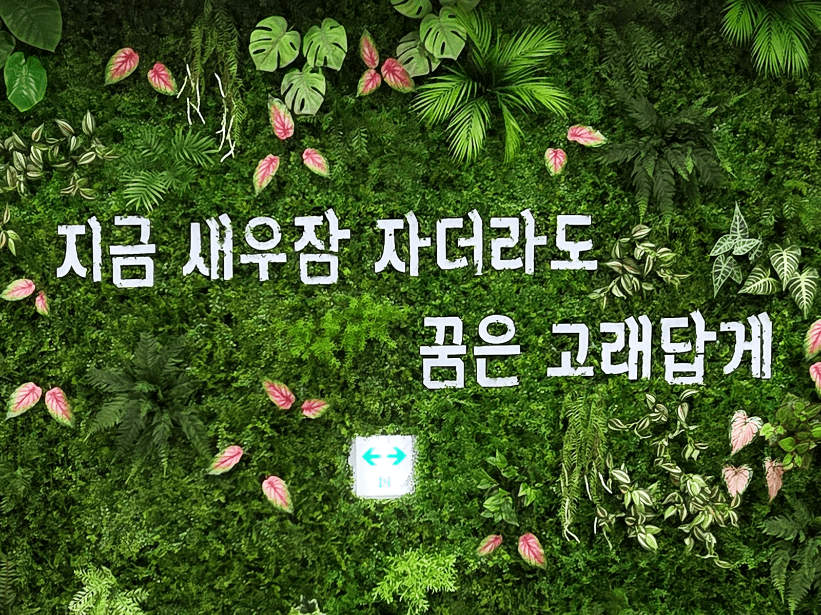 청주시청 — 문구 디테일
