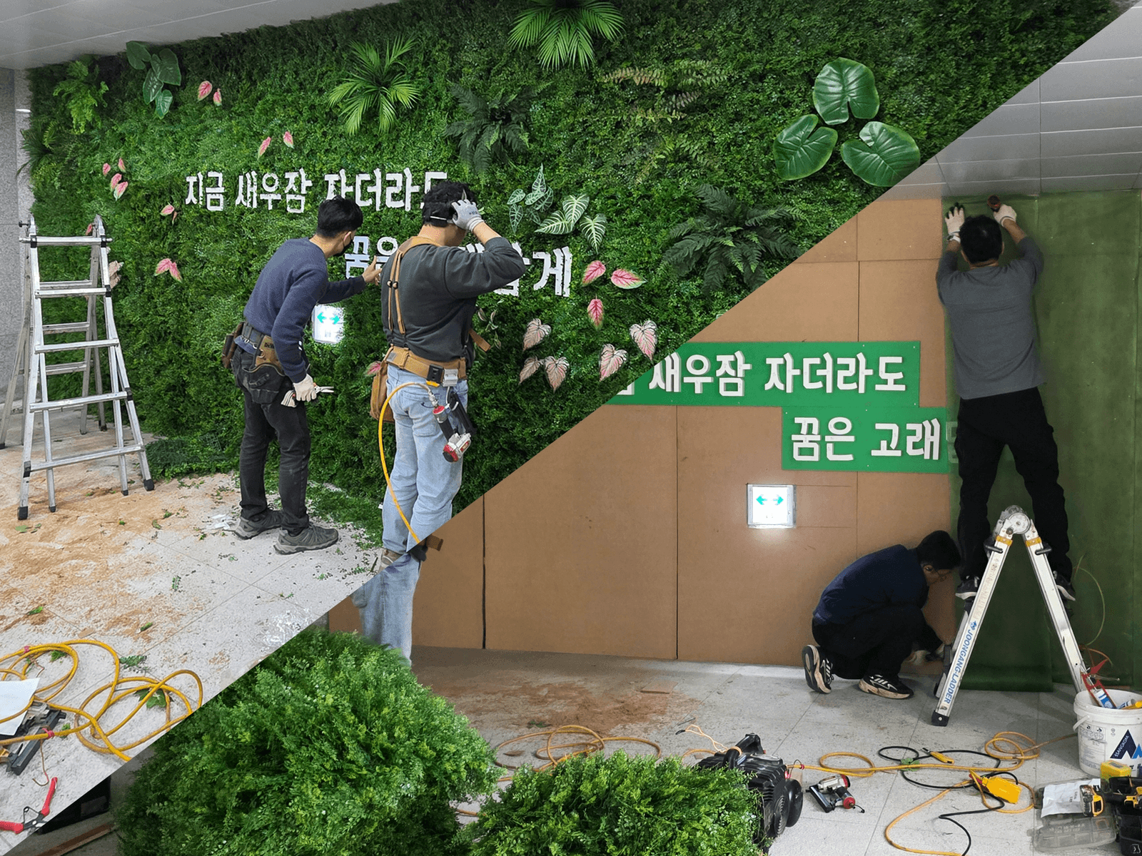 청주시청 — 벽면녹화 설치 작업 과정