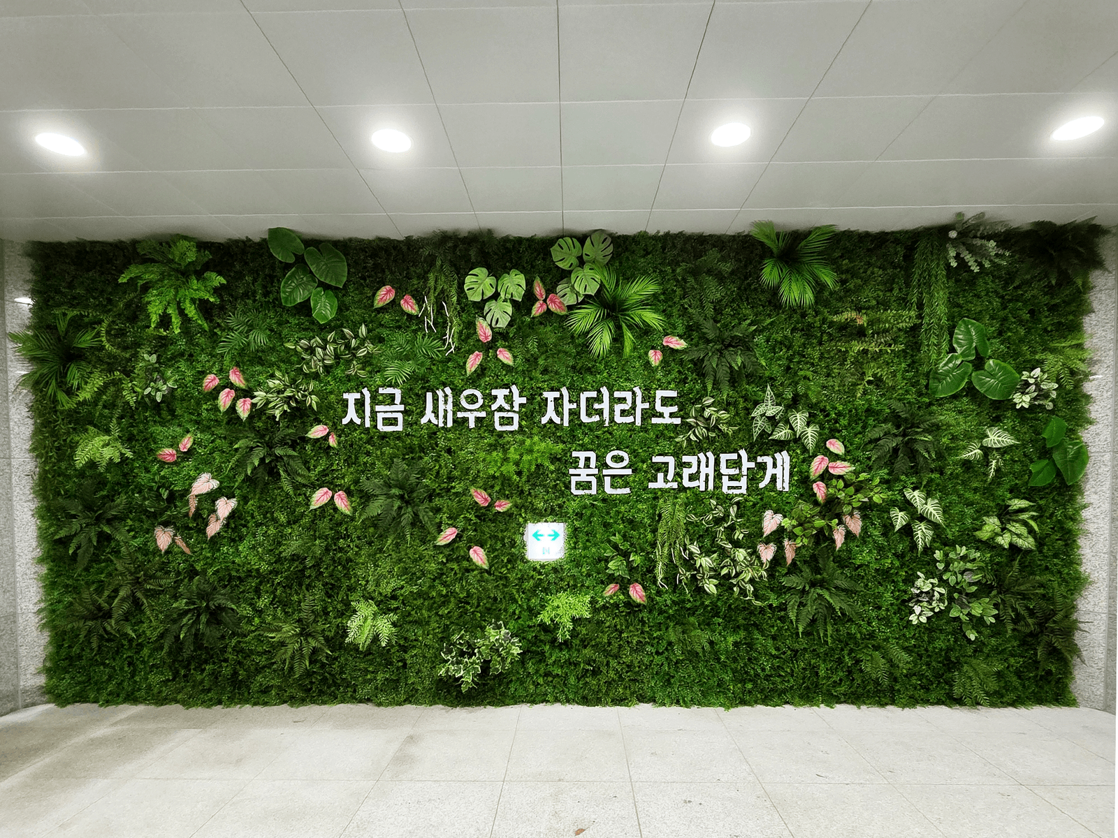 청주시청 — 사옥 슬로건 벽에 적용되는 레터링 벽면녹화