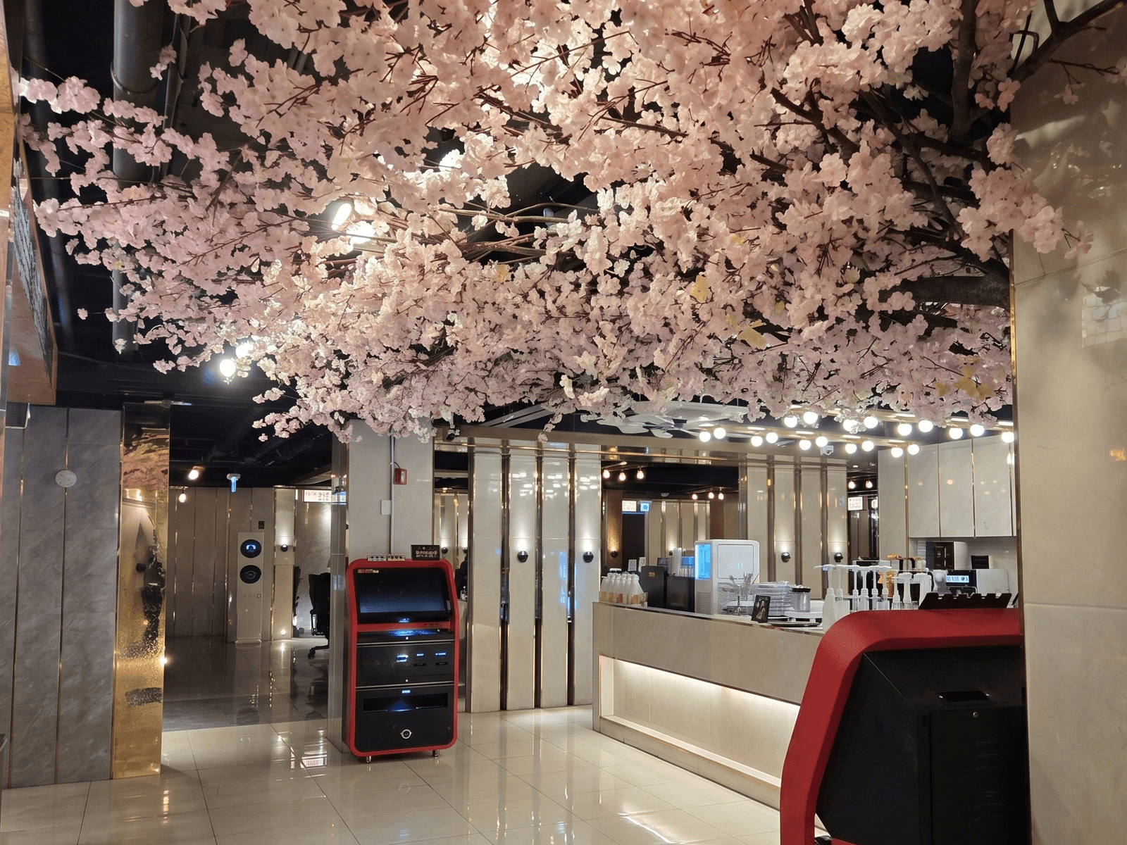 평택 제니스 PC방 — 카페 카운터 위까지 이어진 벚꽃 캐노피
