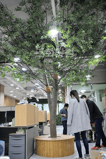 서울대학교 대학원생실 — 넓은 중앙에 세운 대형 인조나무와 비교되는 공간 배치