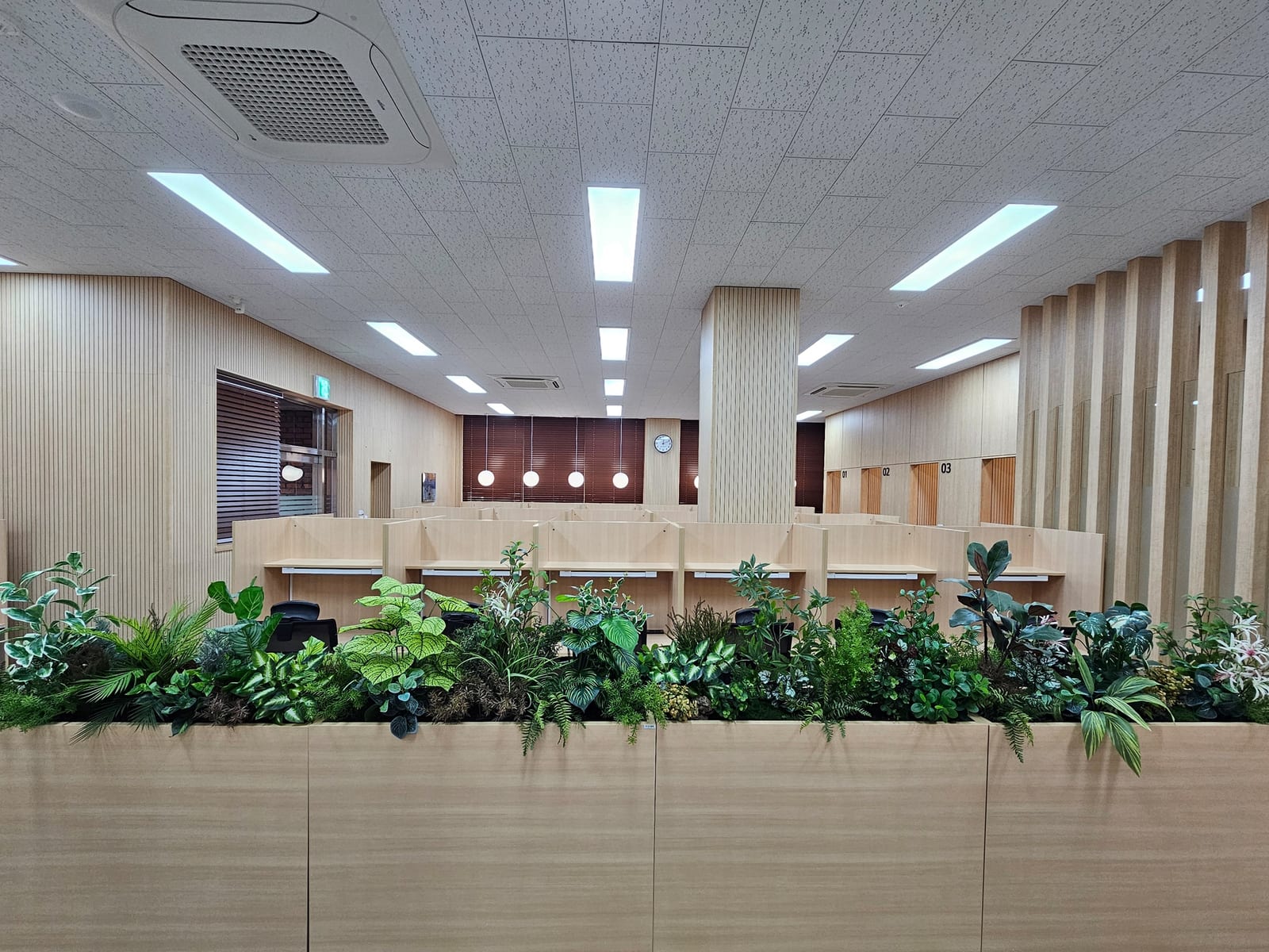 천안 연암대학교 도서관 — 열람실 전체를 따라 우드톤 플랜트박스가 이어진 모습