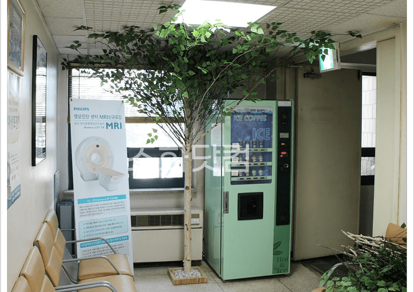서울 인수동 대한병원 — 앉는 자리 옆의 나무