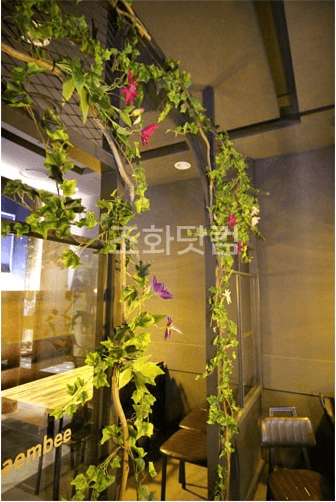 서울 더냄비 강남역점 — 넝쿨 배경의 촬영 자리
