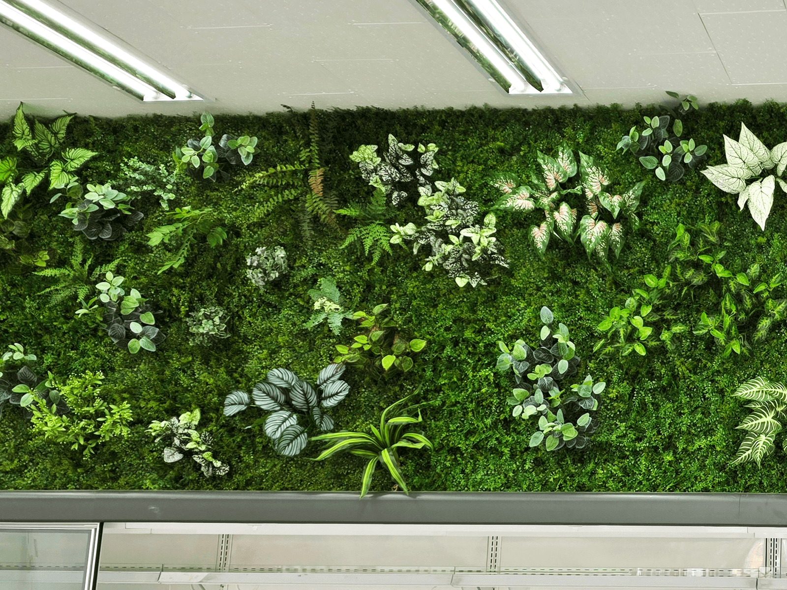 아산 엔마트 인조 이끼 바탕 디테일