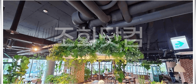 세종시 글린정원 세종점 — 검은 배관이 드러난 노출천장 곳곳에 행잉넝쿨을 드리운 카페 홀 전경