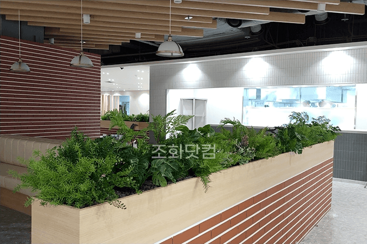 고양시 동국대 일산병원 — 식당가 좌석 사이를 길게 짠 식물 플랜트박스가 나눈 전경