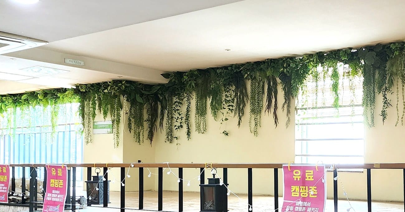 화성 힐링스파 찜질방 — 뭉친 고사리 결 사이로 아이비 톤 넝쿨이 길게 흘러내린 잎 디테일