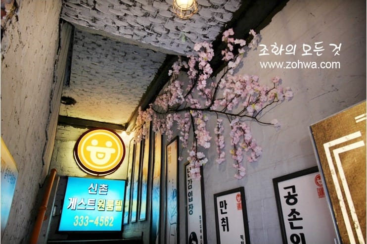 서울 신촌 감술선생 신촌점 — 천장 벚꽃 가지와 매장 로고