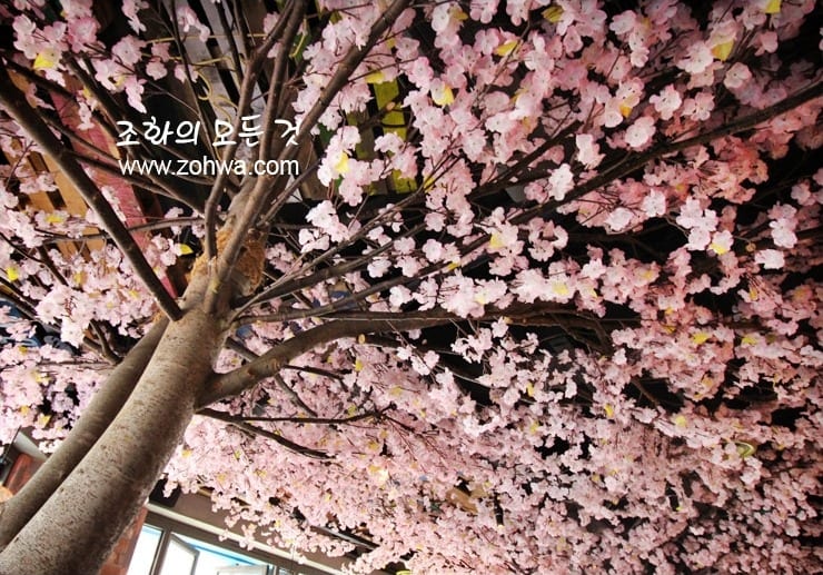 서울 신촌 감술선생 신촌점 — 사계절 만개를 유지하는 벚꽃