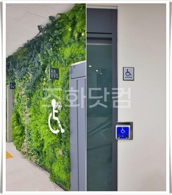 강릉시 강릉아트센터 — 문 옆 안내 사인 주변까지 채운 벽면녹화 디테일