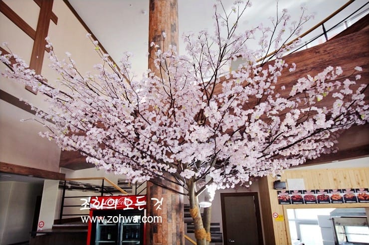 김천 원정간장게장 — 계단 옆으로 이어진 벚꽃