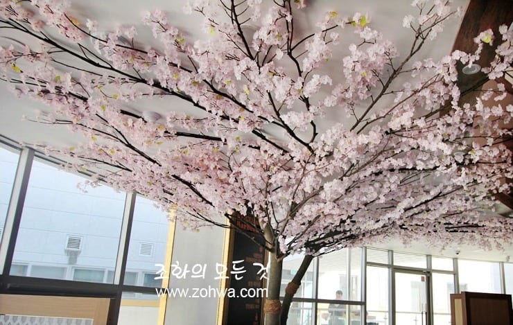 김천 원정간장게장 — 창빛에 비치는 벚꽃