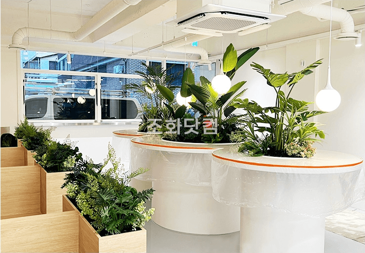 서울 글램독 그라운드 삼성점 — 밝고 개방감 있는 실내와 플랜터