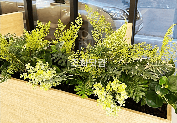서울 글램독 그라운드 삼성점 — 창가에 놓인 우드 플랜터박스