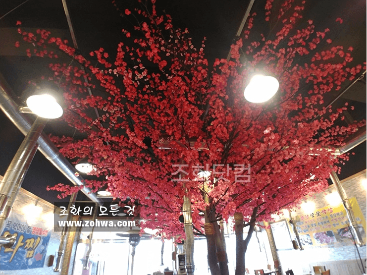 대구 고향참숯막창 — 전구 조명과 어우러진 천장 매화