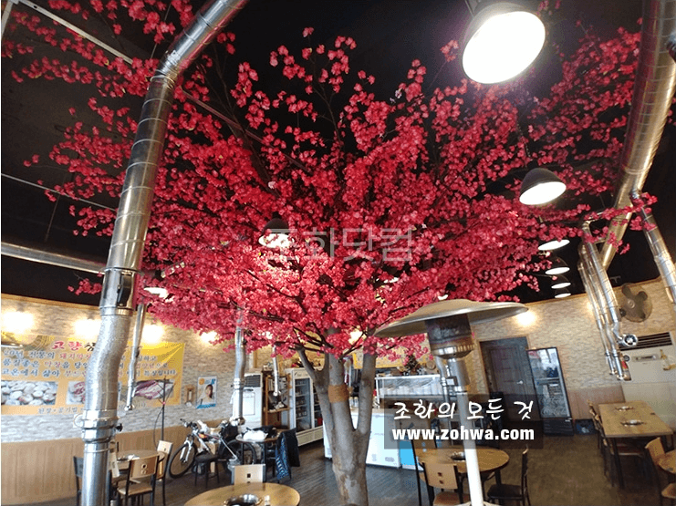 대구 고향참숯막창 — 밝은 낮의 매화나무 전경