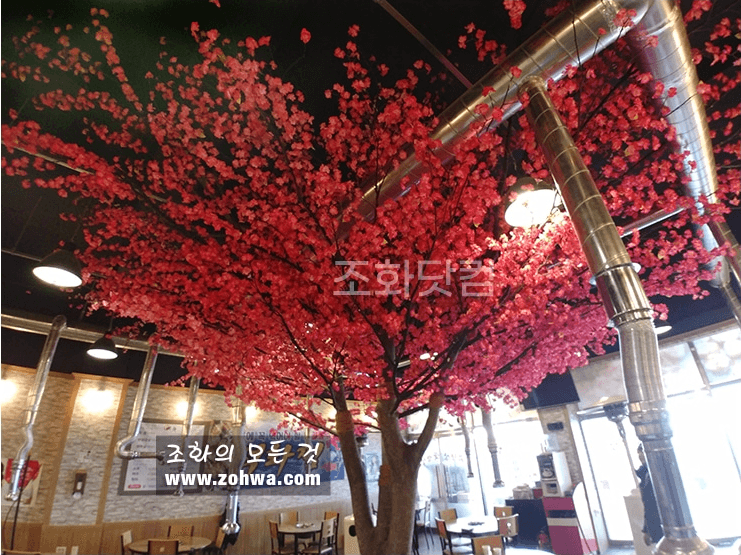 대구 고향참숯막창 — 붉은 홍매화 꽃 디테일