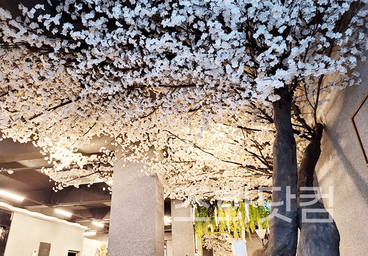 대구 커피한잔할래요 — 완성된 벚꽃 천장이 보여주는 시공 완성도