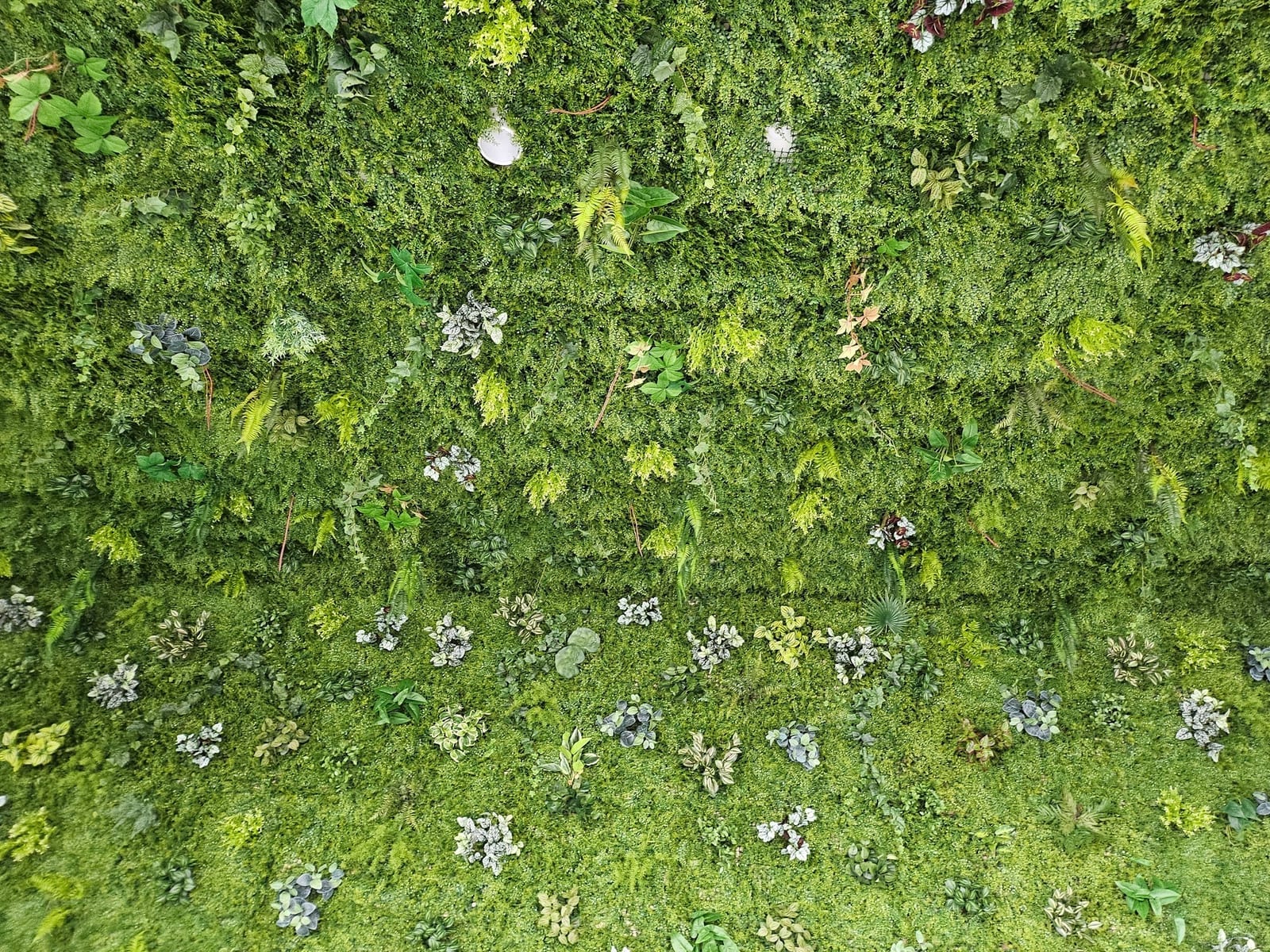 군산 엔마트 — 잎의 크기·색·질감이 다른 여러 인조 식물을 섞어 입체감을 살린 벽면녹화 클로즈업