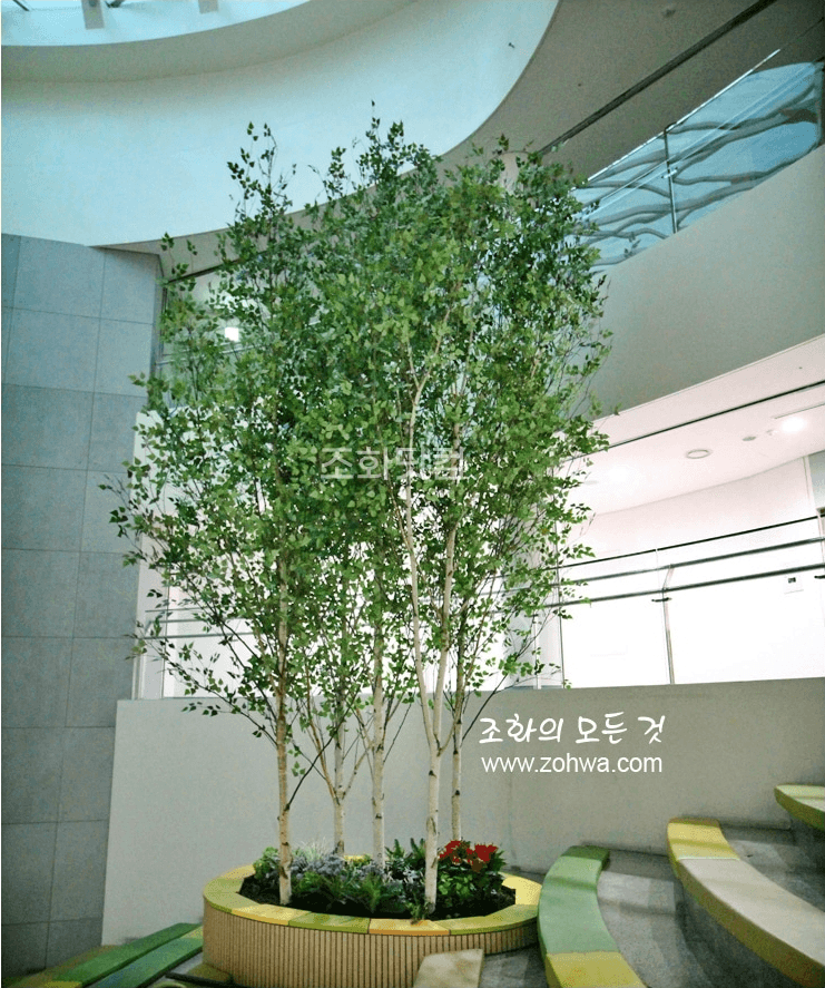 서울 경복초등학교 — 로비를 밝힌 대형 인조 자작나무