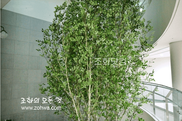 서울 경복초등학교 — 층고 높은 로비의 대형 자작나무