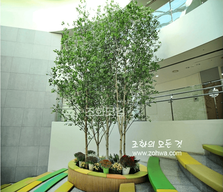 서울 경복초등학교 — 아이들이 쉬는 나무 정원