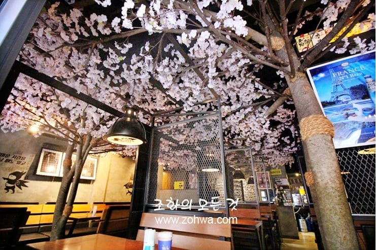 경산 쿠로배트맨 — 천장을 덮은 벚꽃 캐노피